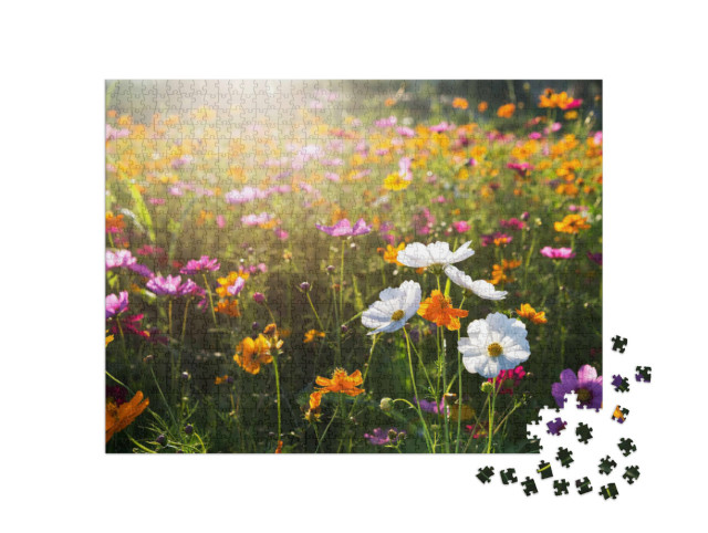 Puzzle de 1000 pièces « Les cosmos fleurissent le matin »