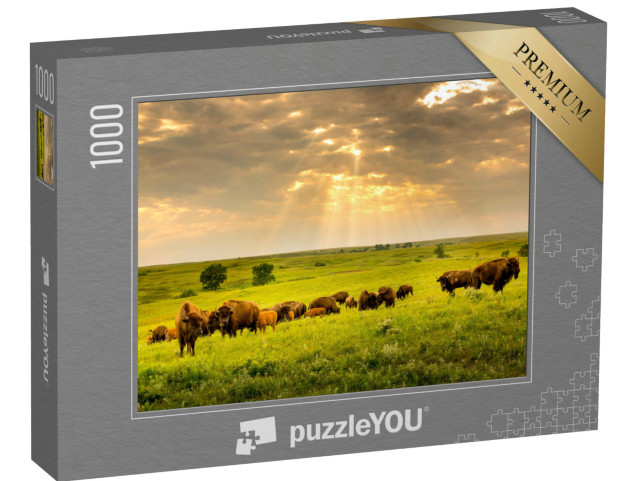 Puzzle de 1000 pièces « Un troupeau de bisons parcourt le Kansas »