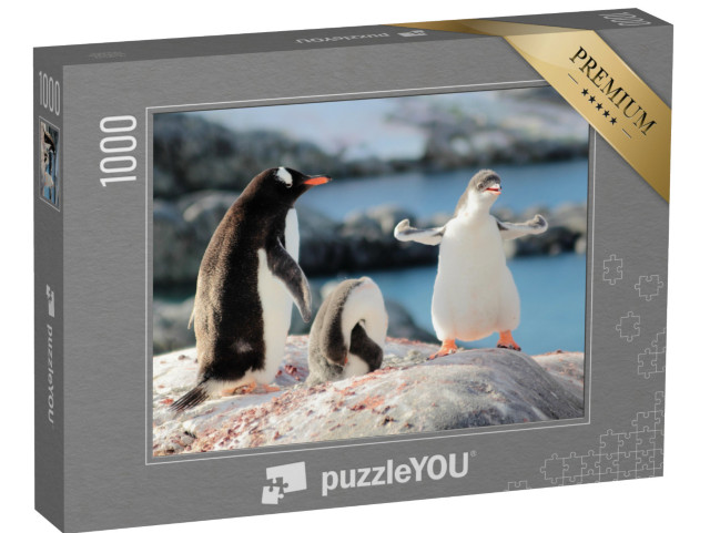 Puzzle de 1000 pièces « Qui est le pingouin le plus fort ? »