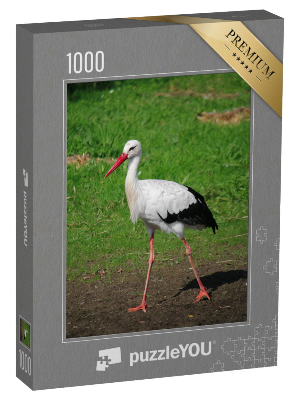 Puzzle de 1000 pièces « Une petite cigogne se pavane dans le jardin »