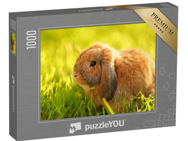 Puzzle de 1000 pièces « Petit lapin aux oreilles pendantes assis sur la pelouse »