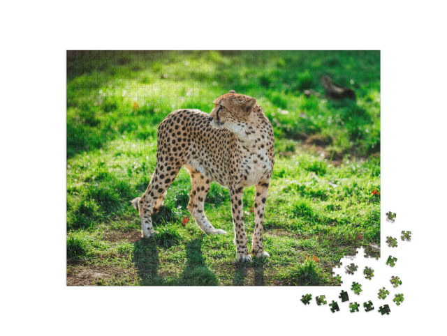 Puzzle de 1000 pièces « Guépard sauvage sur l'herbe verte »