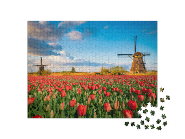 Puzzle de 1000 pièces « Paysage néerlandais avec moulins à vent et tulipes en fleurs »
