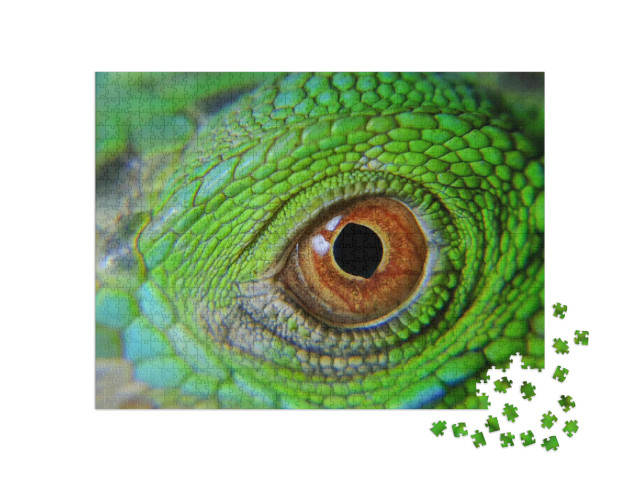 Puzzle de 1000 pièces « Caméléons, lézards qui changent de couleur »