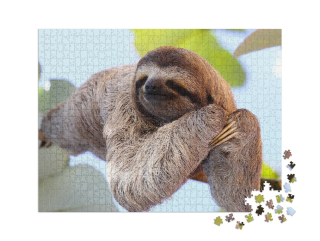 Puzzle 1000 pièces XXL « Un paresseux heureux accroché à un arbre »