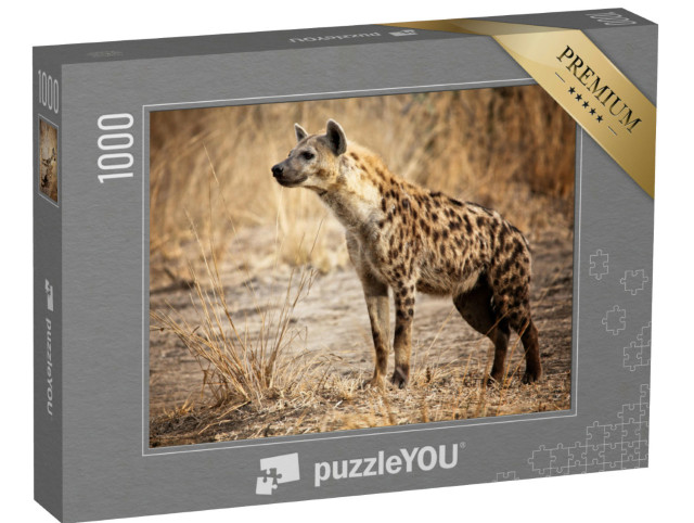 Puzzle de 1000 pièces « Hyène dans le parc national de Luangwa en Zambie »