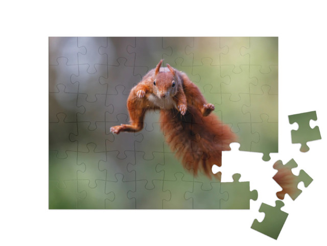 Puzzle de 48 pièces « L'écureuil rouge bondit à travers la forêt »