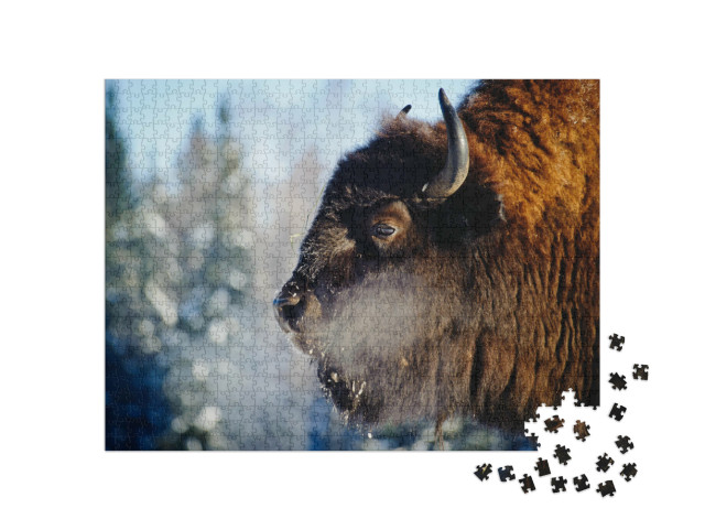 Puzzle de 1000 pièces « Bison en liberté »
