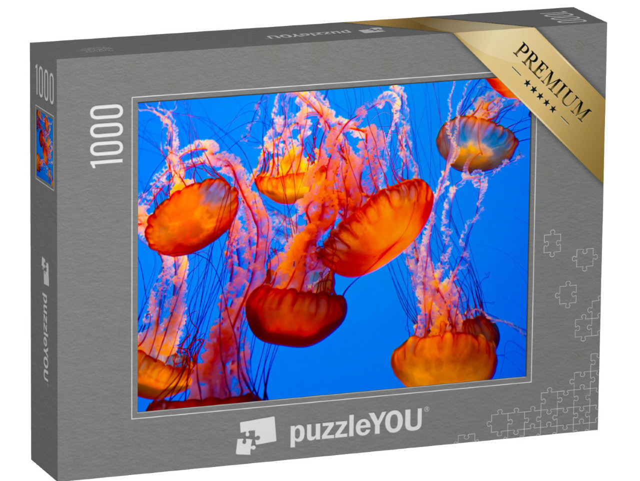 Puzzle de 1000 pièces « Spectaculaires méduses orange »