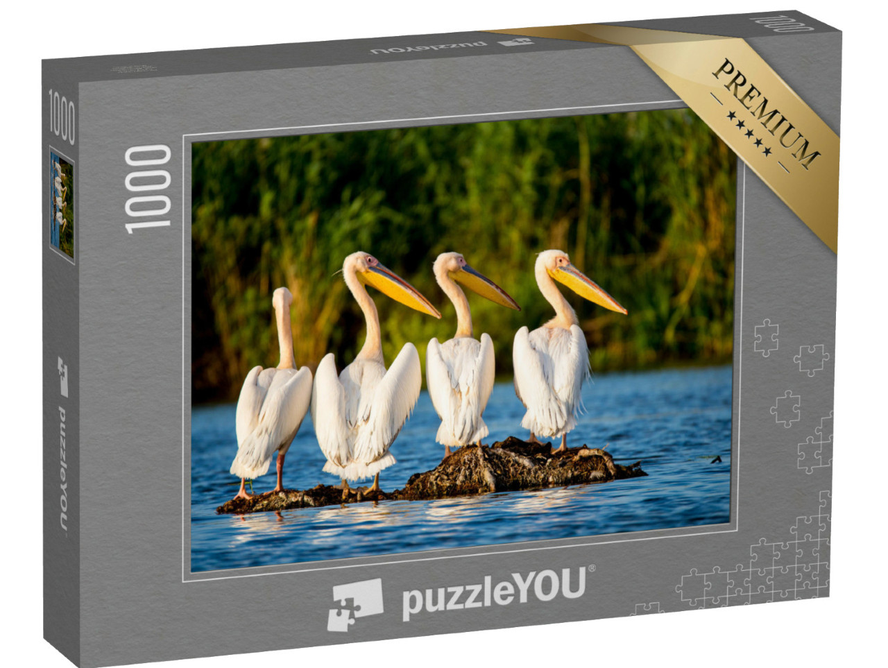 Puzzle de 1000 pièces « Colonie de pélicans dans le delta du Danube, Roumanie »