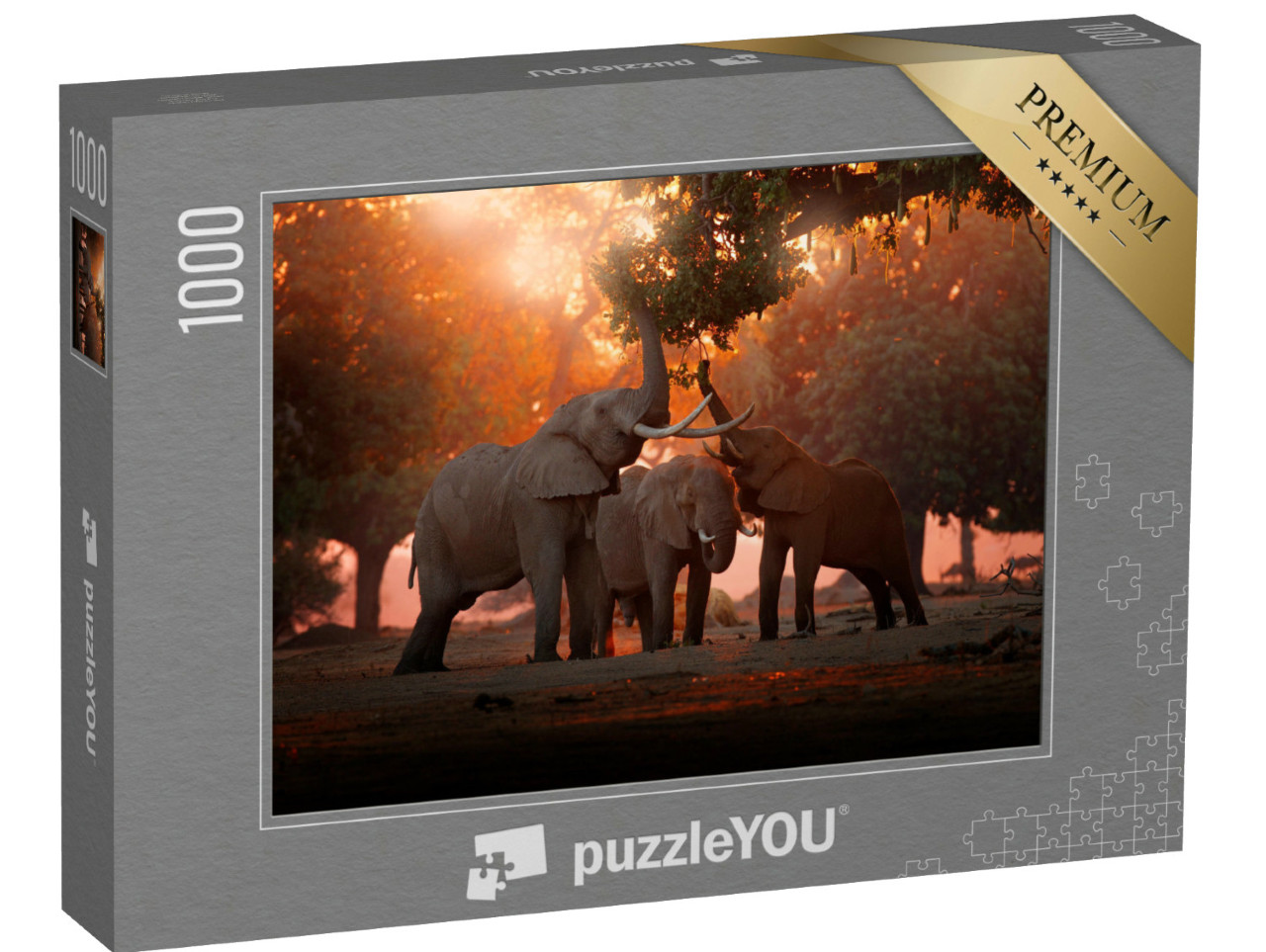 Puzzle de 1000 pièces « Eléphant se nourrissant dans le parc national de Mana Pools, Zimbabwe »