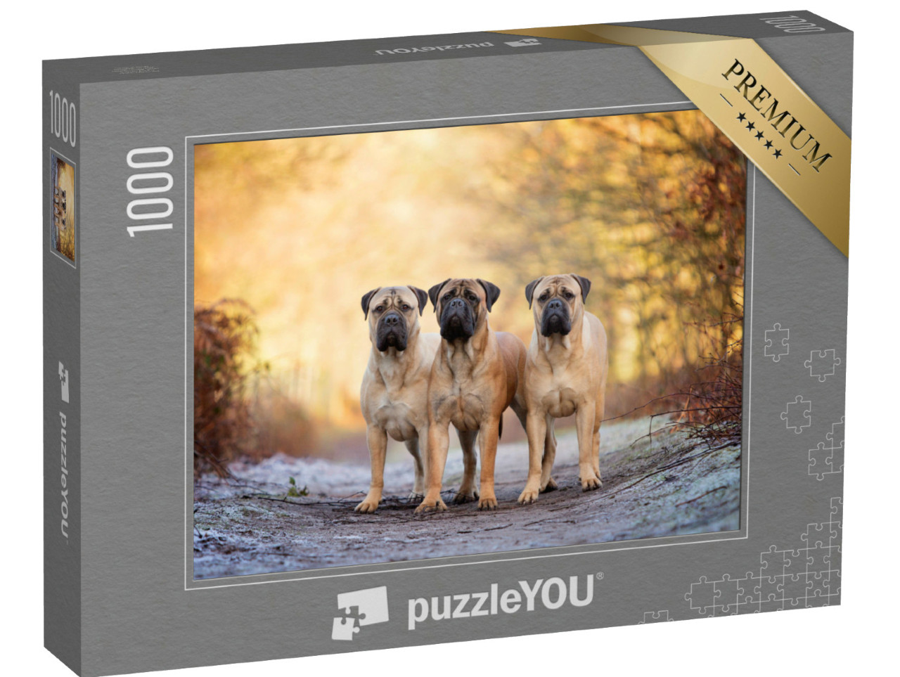 Puzzle de 1000 pièces « Trois bullmastiffs par un matin glacial »