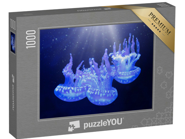 Puzzle de 1000 pièces « La méduse tachetée du lagon »