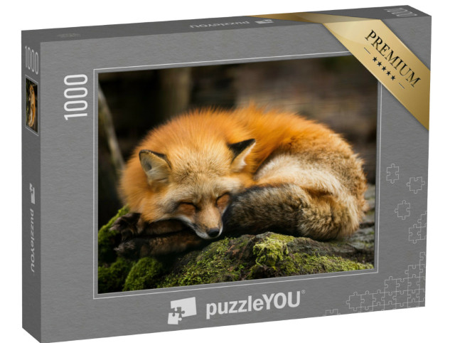 Puzzle de 1000 pièces « Renard roux endormi »
