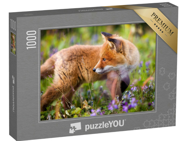 Puzzle de 1000 pièces « Jeune renard roux curieux dans une prairie fleurie »