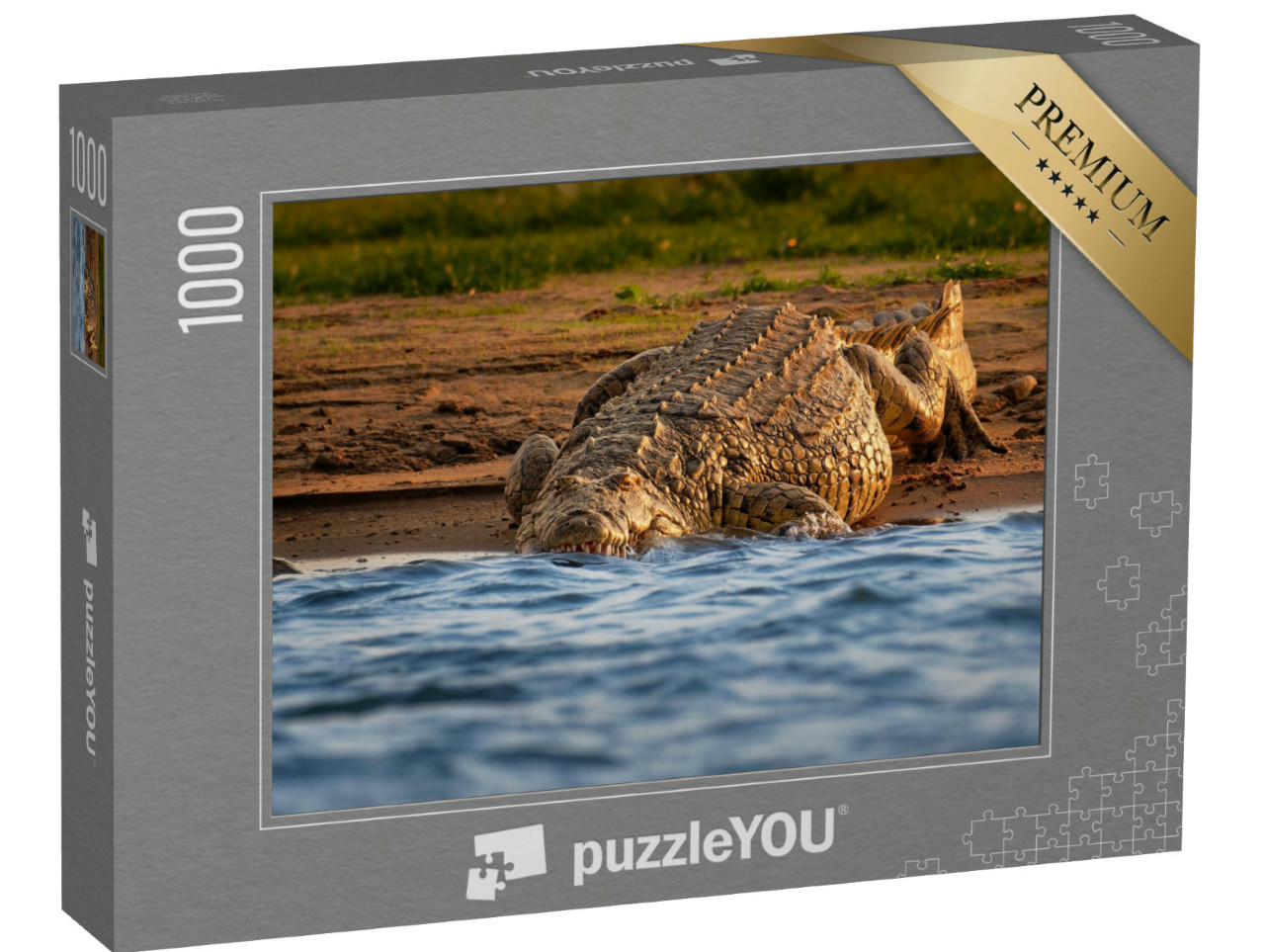 Puzzle de 1000 pièces « Le crocodile du Nil au bord de la rivière ouvre sa gueule avec de grandes dents »