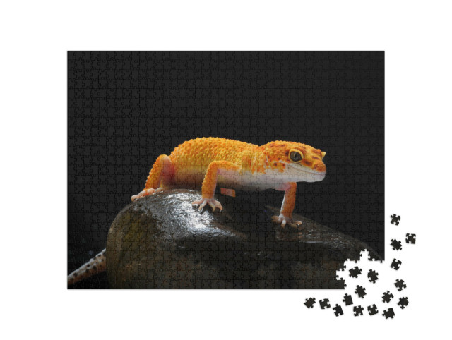 Puzzle de 1000 pièces « Gecko, lézard, lézard-gecko léopard »