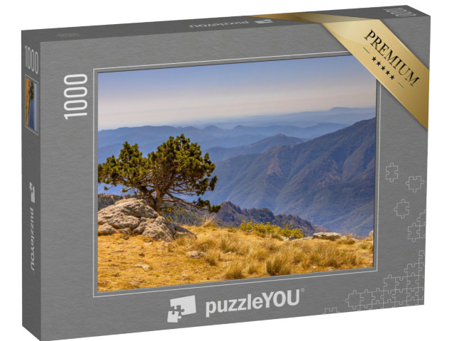 Puzzle de 1000 pièces « Paysage d'altitude sur le Mont Aigoual, Occitanie, France »