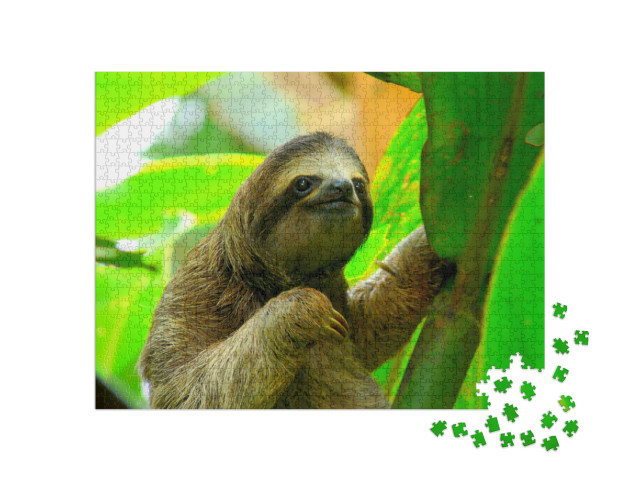 Puzzle de 1000 pièces « Paresseux à Puerto Viejo, Costa Rica »