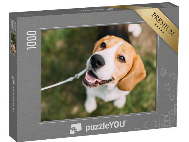 Puzzle de 1000 pièces « Un chiot beagle sur l'herbe »