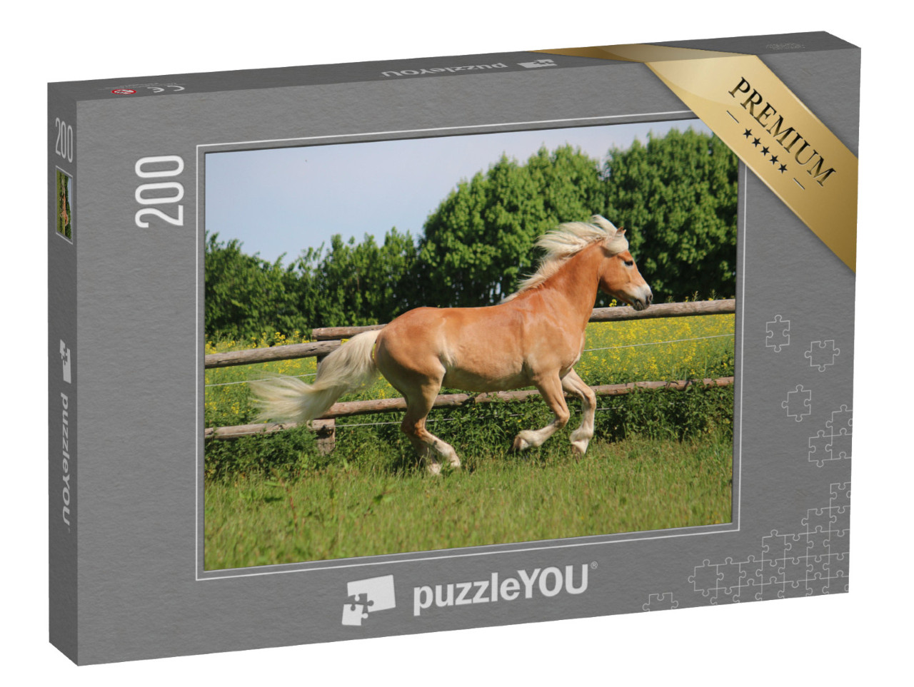 Puzzle de 200 pièces « Magnifique cheval Haflinger au paddock »