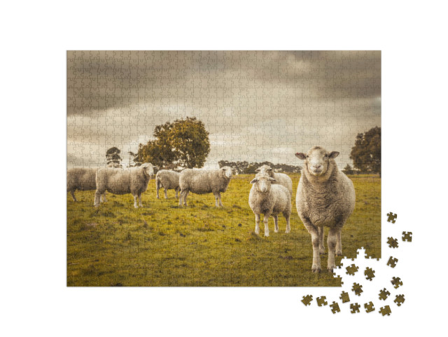Puzzle de 1000 pièces « Moutons dans leur pâturage »