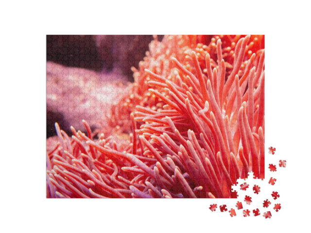 Puzzle de 1000 pièces « Corail rose dans le monde sous-marin »