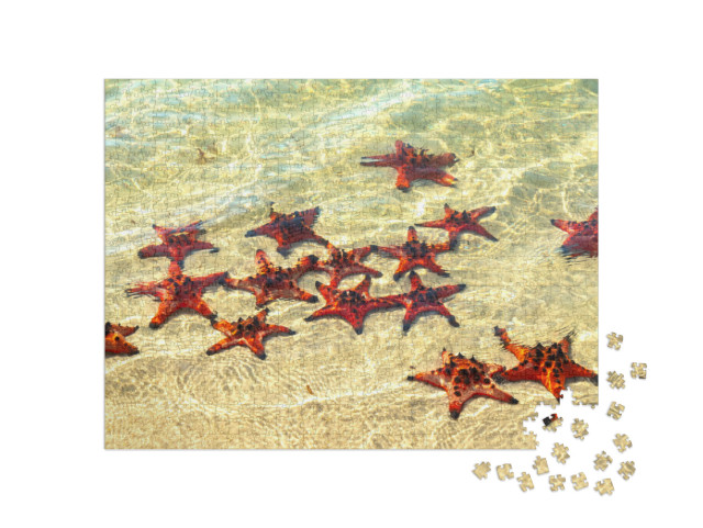 Puzzle de 1000 pièces « Étoiles de mer prenant un bain de soleil »