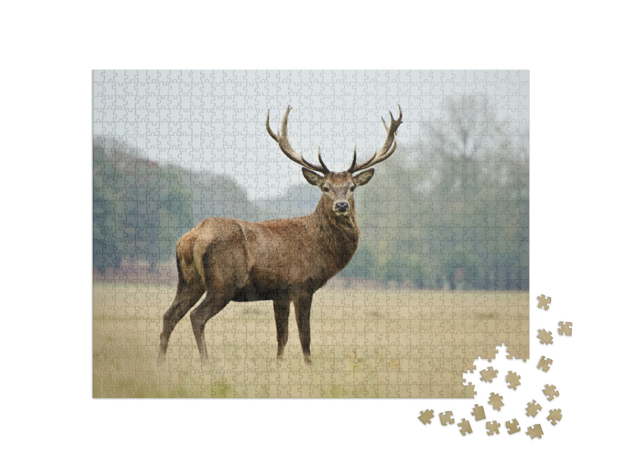 Puzzle de 1000 pièces « Portrait d'un fier cerf rouge dans une forêt automnale »