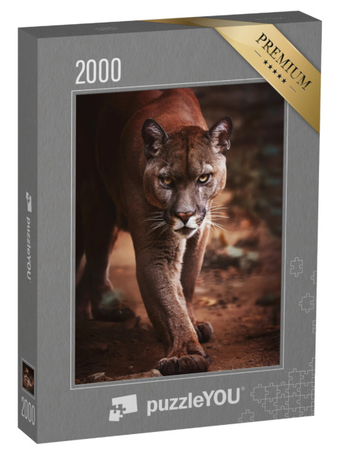 Puzzle de 2000 pièces « Un puma se faufile »