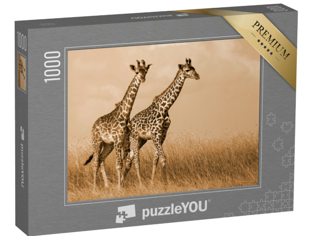 Puzzle de 1000 pièces « Couple de girafes en promenade »