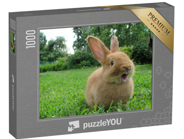 Puzzle de 1000 pièces « Petit lapin qui bâille »