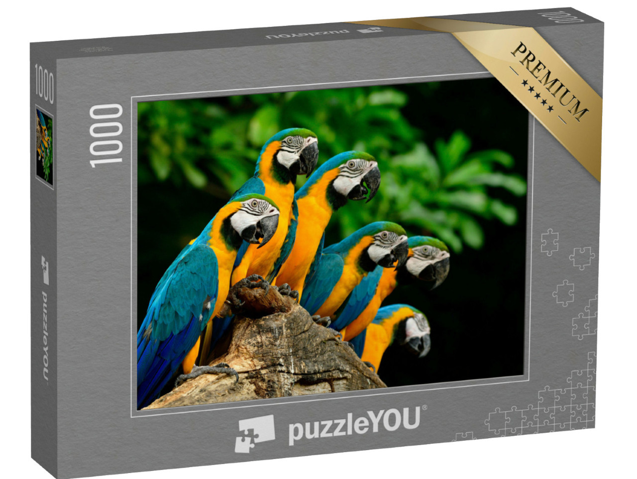 Puzzle de 1000 pièces « Beaucoup d'aras bleu-jaune ou bleu-or sur un tronc d'arbre »