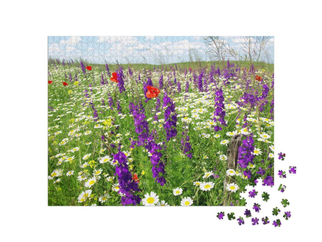 Puzzle de 1000 pièces « Fleurs sauvages d'été »