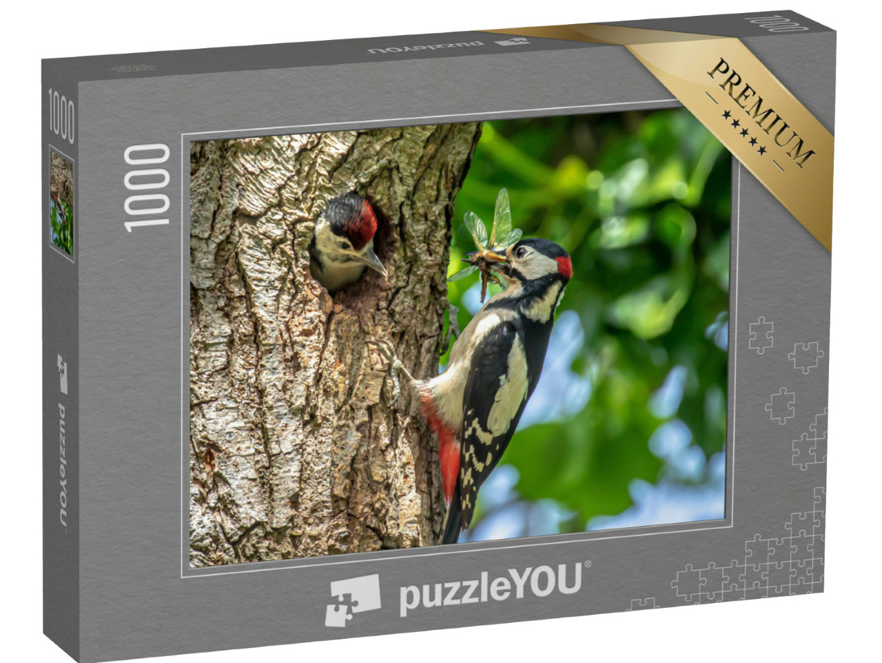 Puzzle de 1000 pièces « Pic épeiche nourrissant un oisillon »