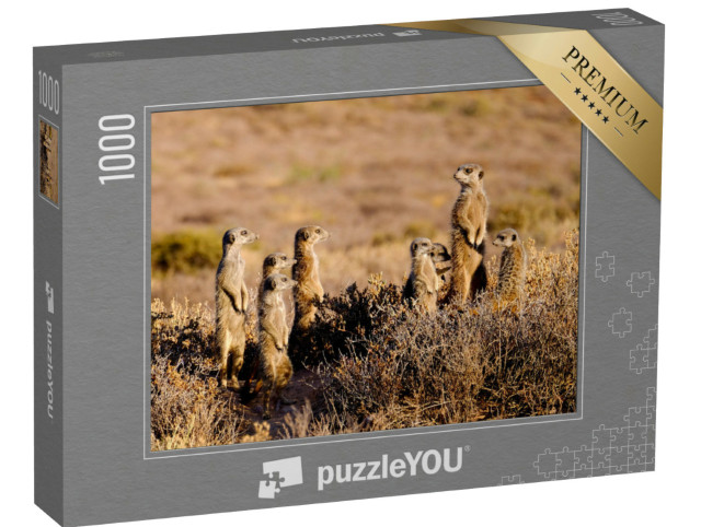 Puzzle de 1000 pièces « Une adorable famille de suricates au petit matin »