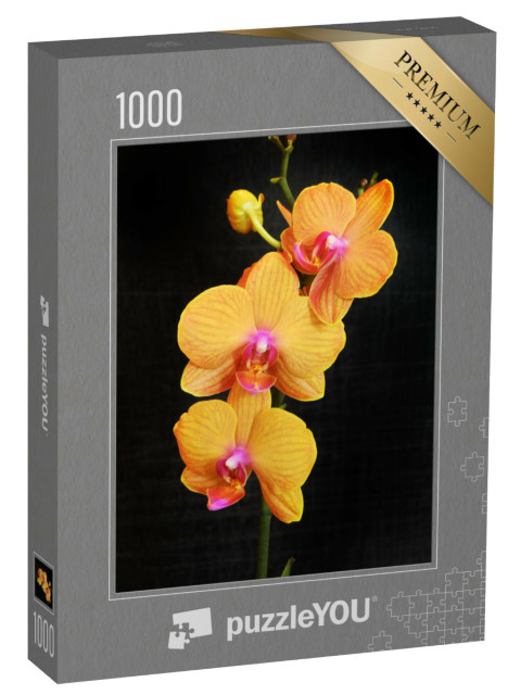Puzzle de 1000 pièces « Orchidée phalaenopsis orange aux fleurs abondantes »