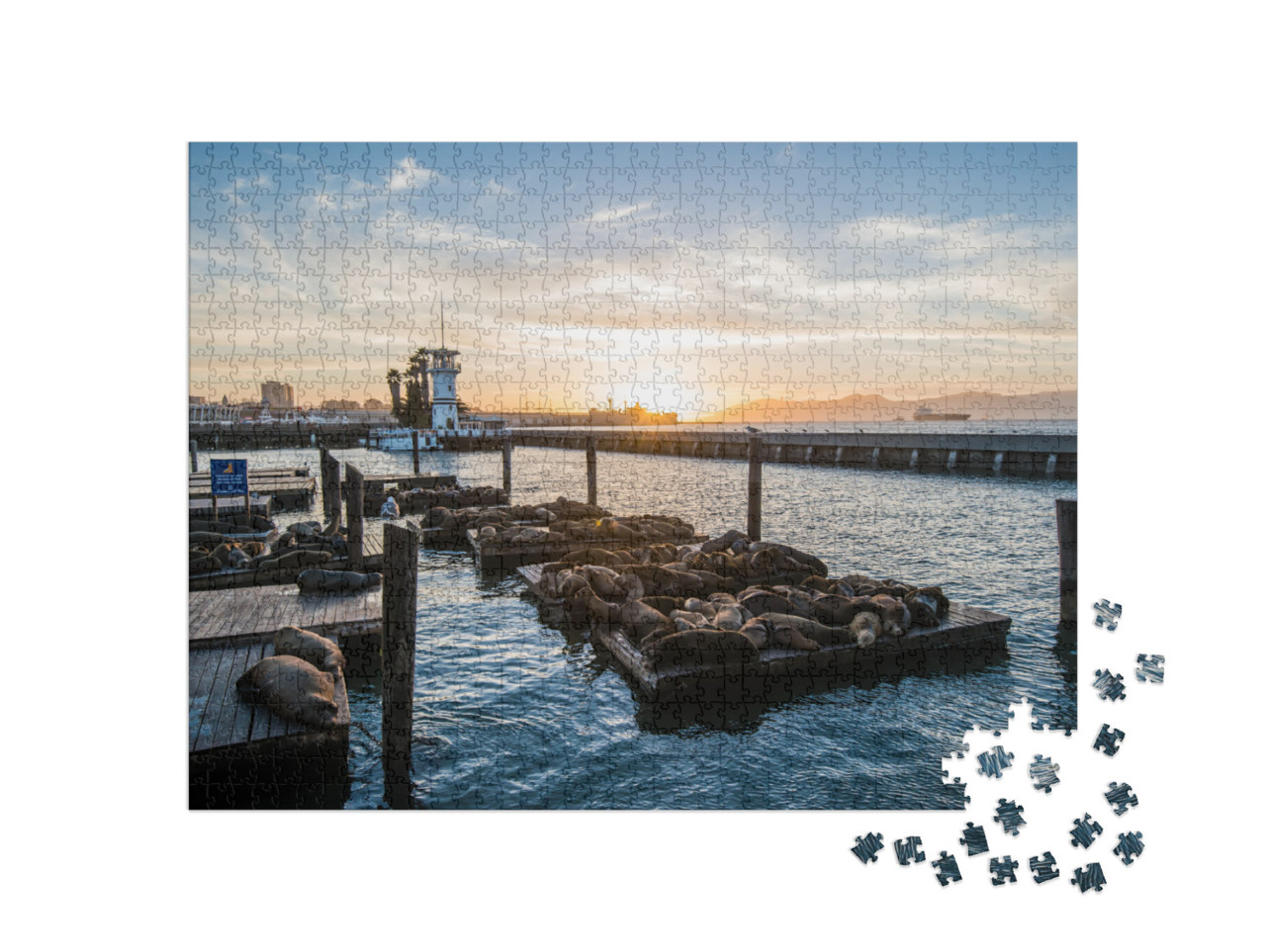 Puzzle de 1000 pièces « Lions de mer sur le Pier 39, San Francisco, Californie, États-Unis »