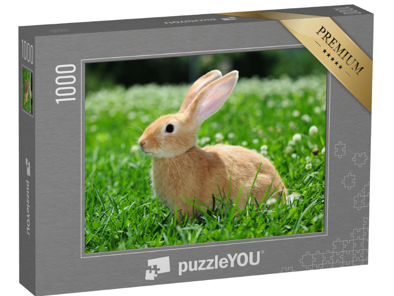 Puzzle de 1000 pièces « Les lapins dans la nature »