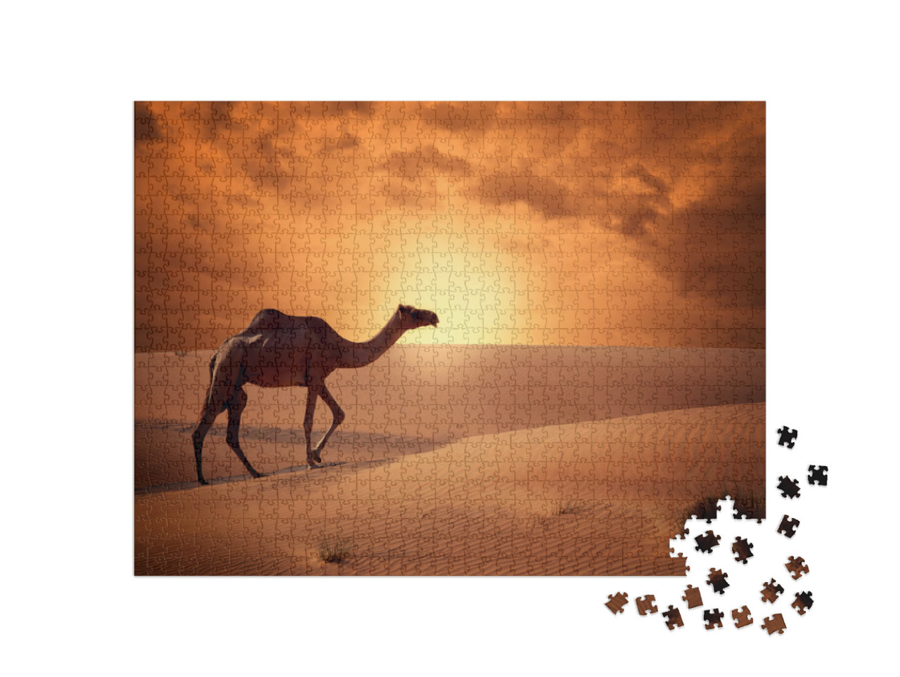 Puzzle de 1000 pièces « Chameau traversant le désert au lever du soleil »