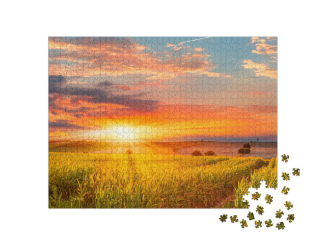 Puzzle de 1000 pièces « Lever de soleil sur un champ de maïs »