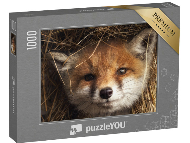 Puzzle de 1000 pièces « Renardeau dans le foin »
