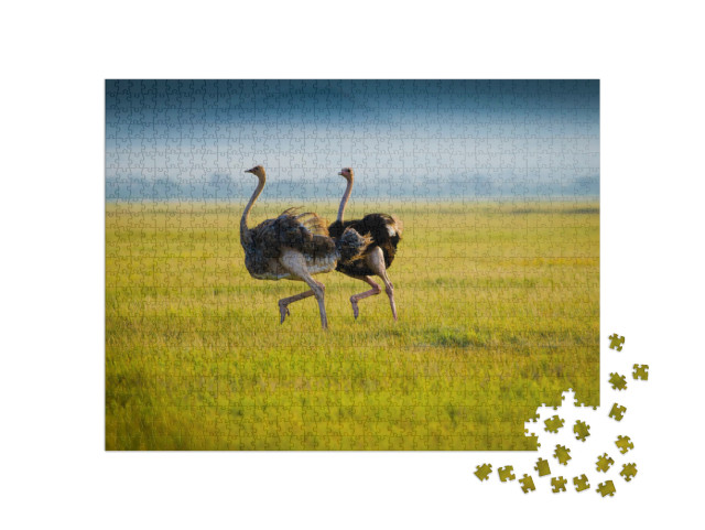 Puzzle de 1000 pièces « Deux autruches africaines dans l'herbe »
