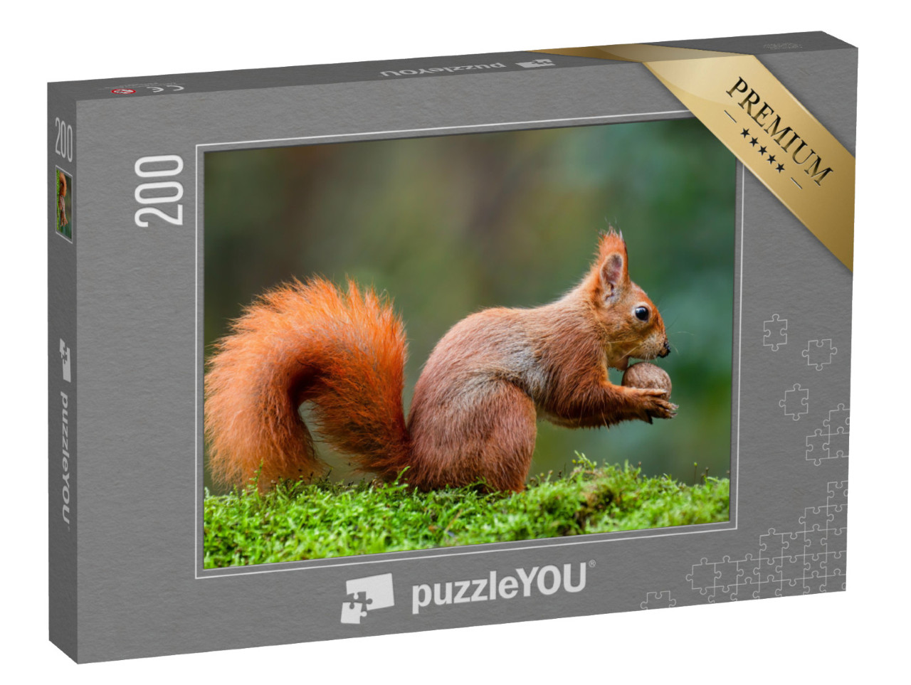 Puzzle de 200 pièces « Un écureuil rouge mange une noix sur un tronc de mousse »