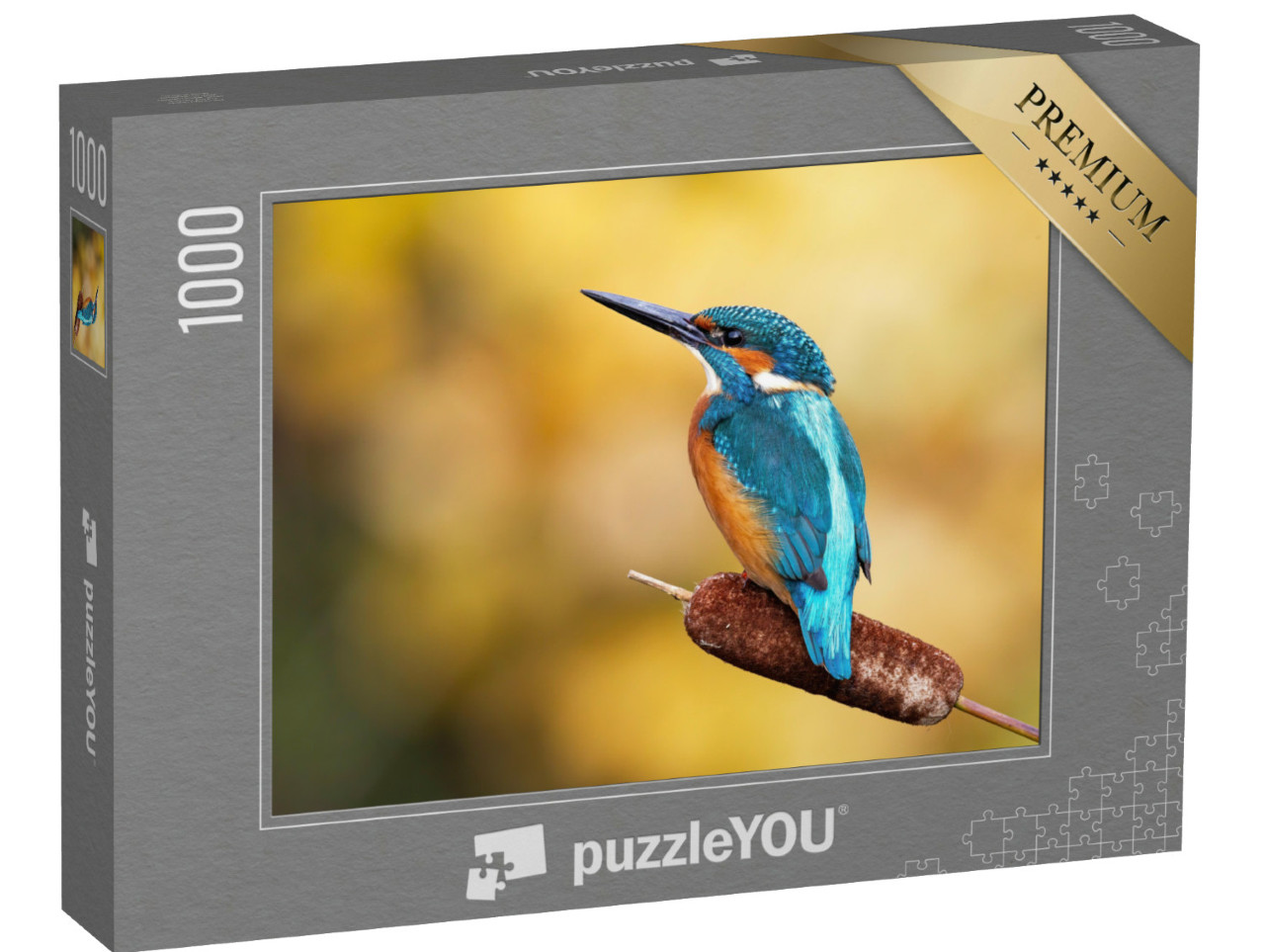 Puzzle de 1000 pièces « Un martin-pêcheur mâle au plumage magnifique »