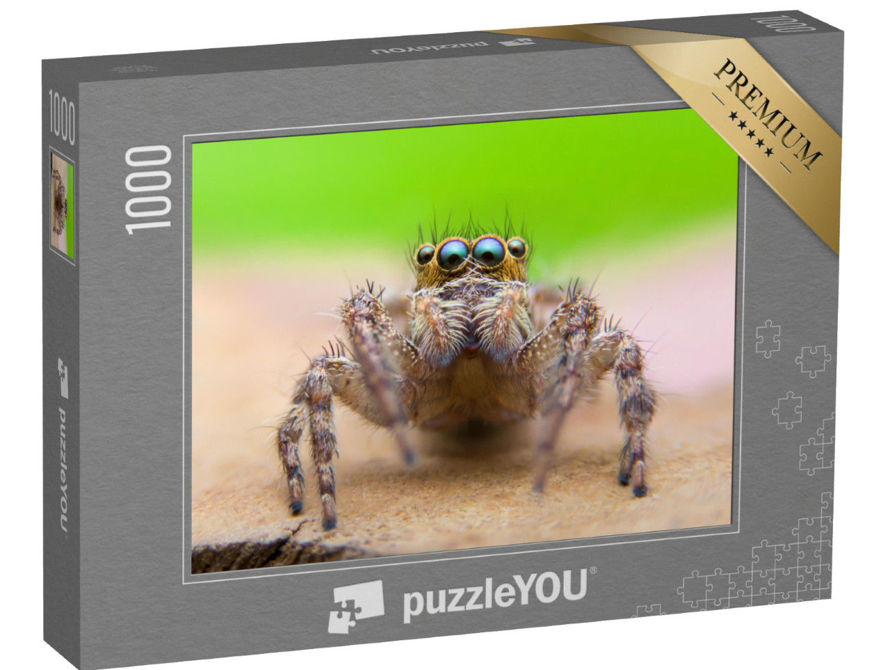 Puzzle de 1000 pièces « Super macrophotographie de l'araignée sauteuse »