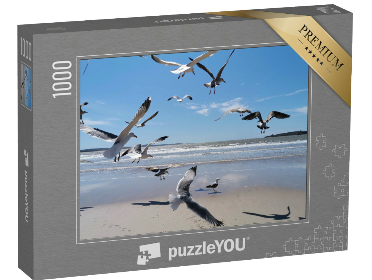 Puzzle de 1000 pièces « Mouettes sur la mer du Maroc »