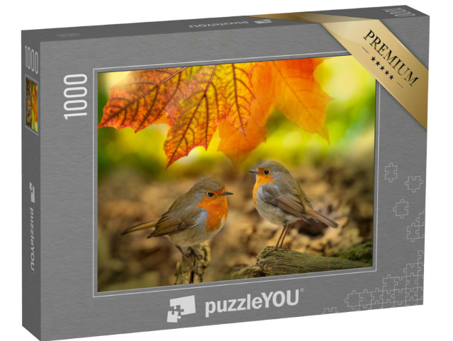 Puzzle de 1000 pièces « Deux rouges-gorges dans la forêt d'automne »