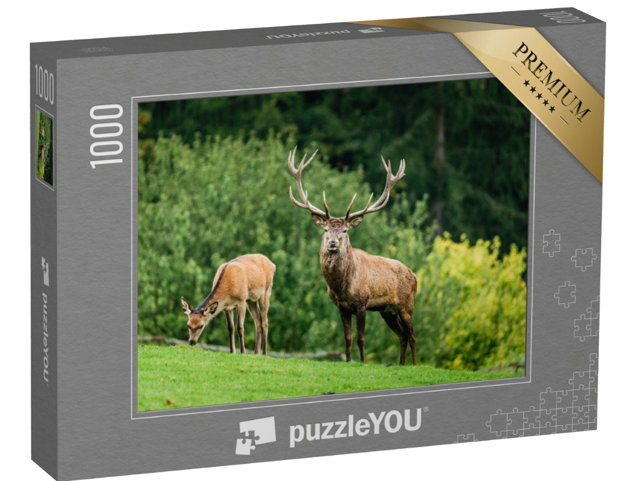Puzzle de 1000 pièces « Face à face avec un cerf, en arrière-plan une biche en train de brouter »