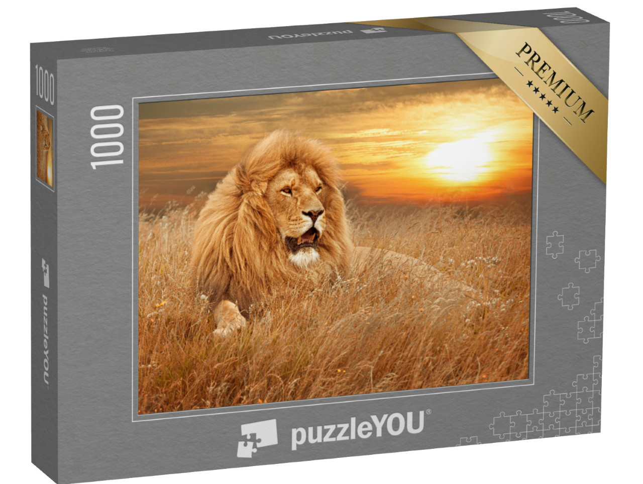 Puzzle de 1000 pièces « Image de Lions dans l'herbe »